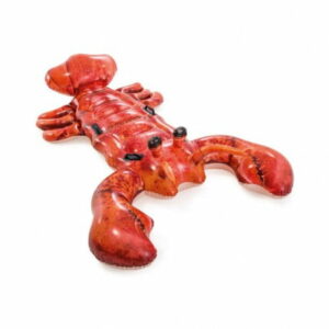 Homard gonflable bouée Intex
