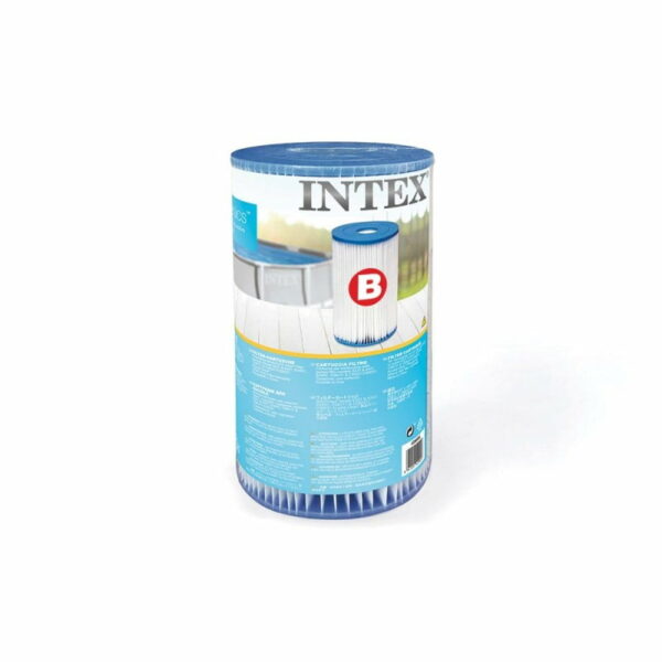 Cartouche filtration B Intex